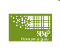 SFSTP
