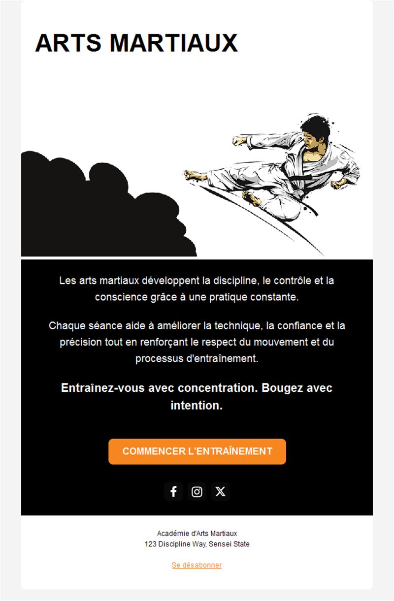 Email illustré d'arts martiaux