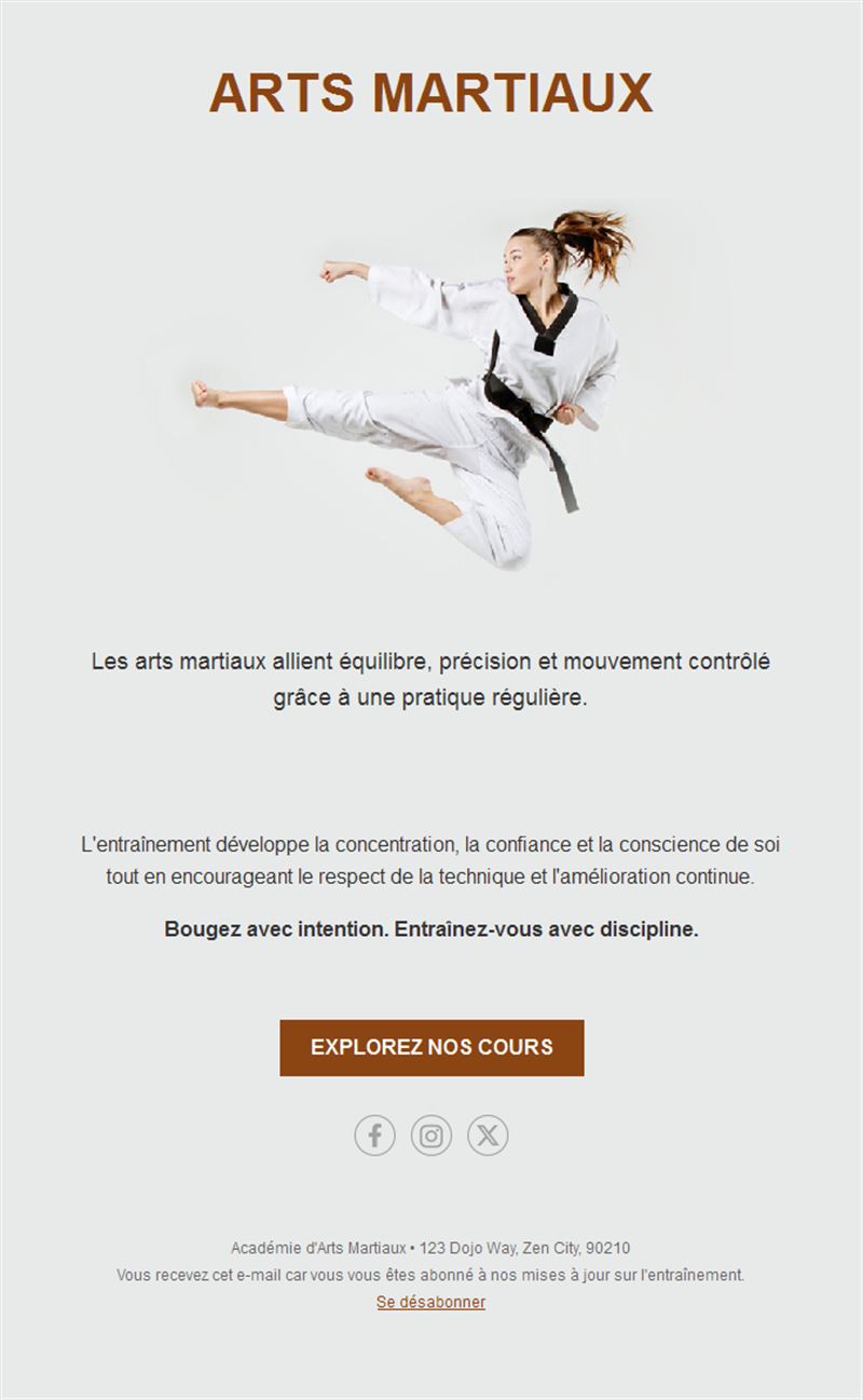 Email de cours de taekwondo