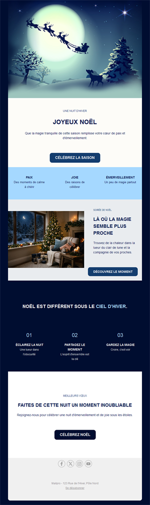 Newsletter de Noël nuit d'hiver