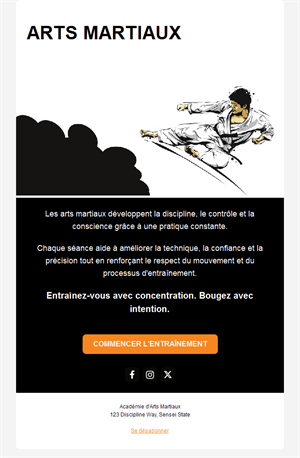 Email illustré d'arts martiaux