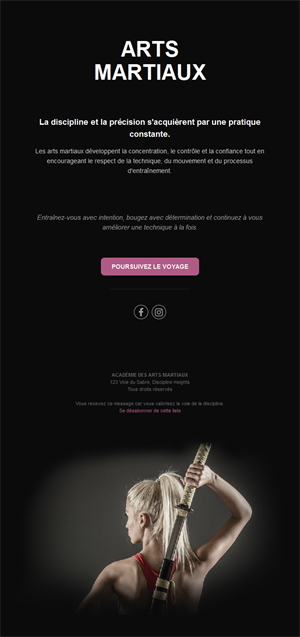 Email d'arts martiaux avec katana