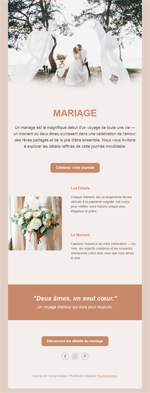 Email élégant de mariage terre cuite